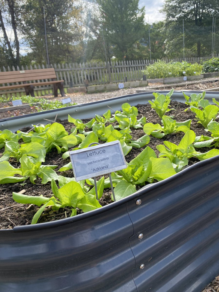 CCE Broome County tweet media