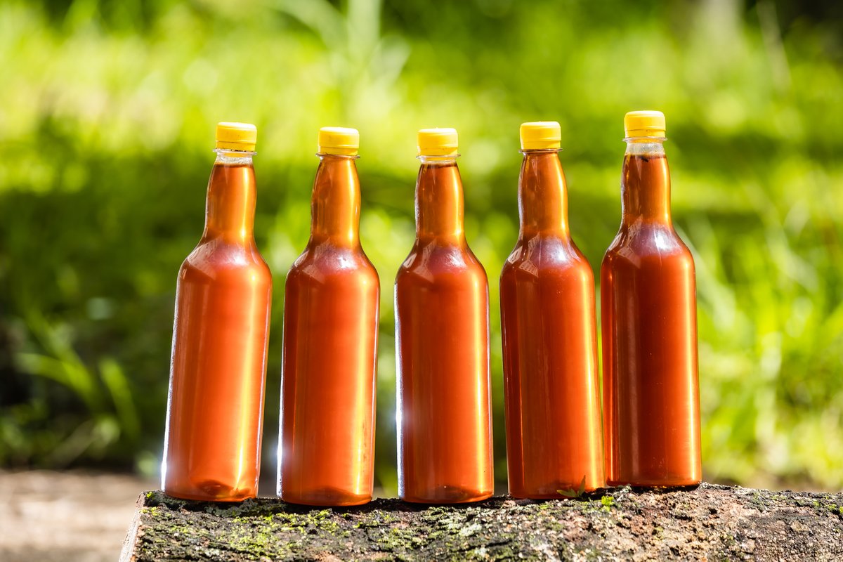 🍯🐝 ¡Disfruta el sabor puro de nuestra miel 100% natural! Directa de nuestras estaciones experimentales.
✨ Beneficios: 🌟 Energía natural, 🛡️ Antioxidante, 🩹 Propiedades antibacterianas.

¡Llévala por solo $4.25!
📍 Comercialización San Andrés: 2497 7209
📍 Estación