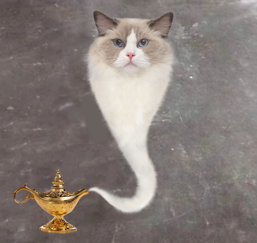 ctolilpuff's tweet photo. #lilpuff would like to make your wish come true today !

CA : 9ywMW777dZAtBqJpVwEN2rJpu3YehhRRRS4aq4iWJTWS https://t.co/F5IS5wBnlu