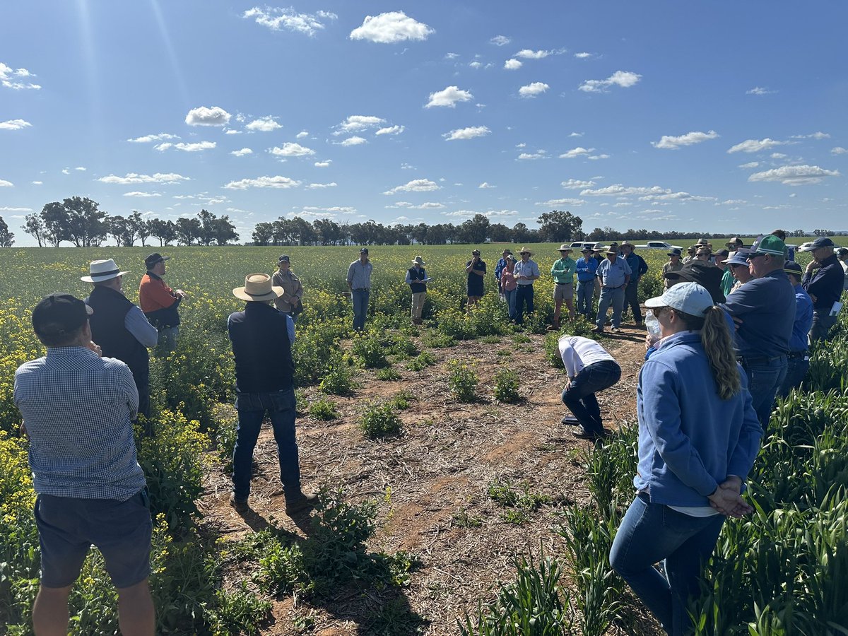 Graeme Sandral tweet media