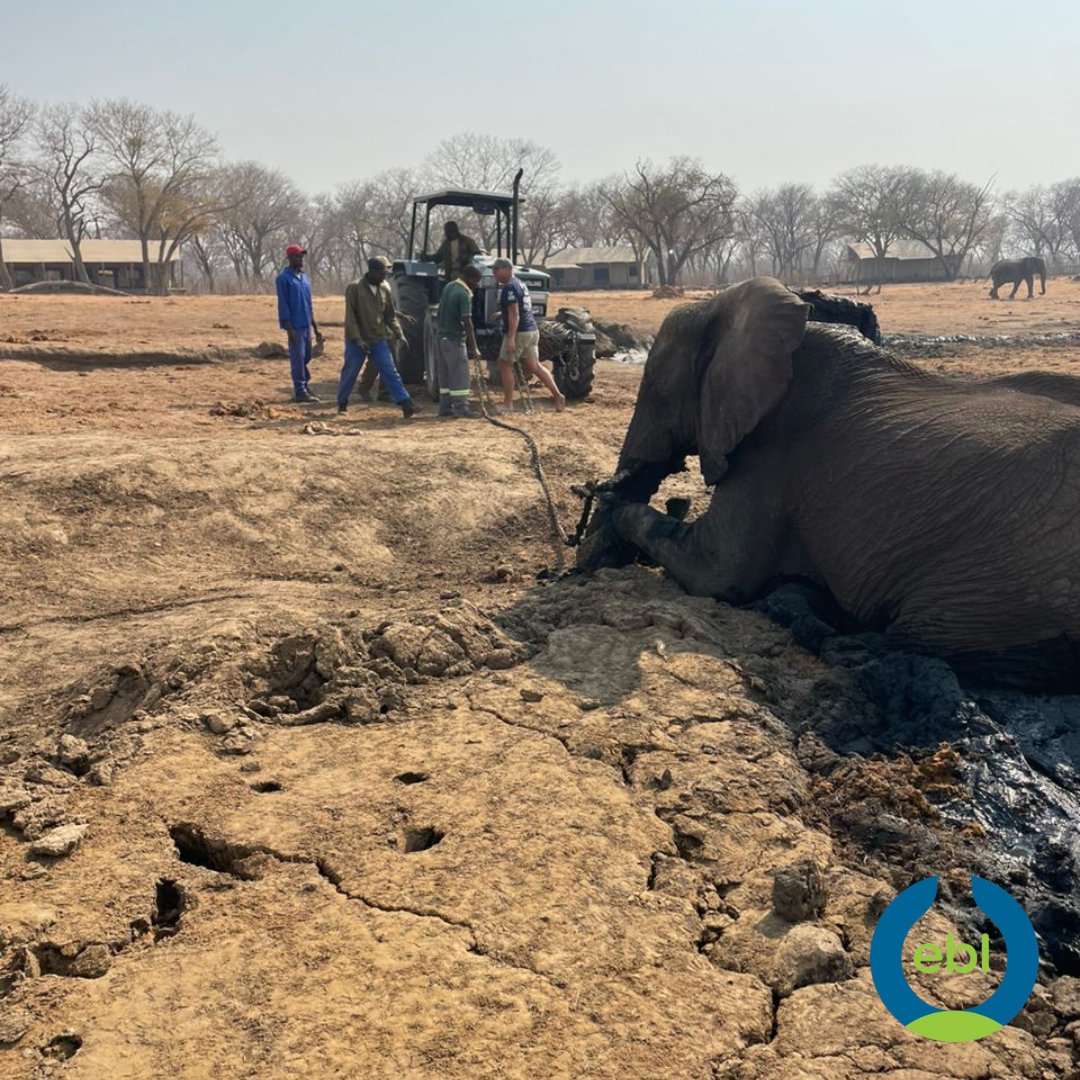 Empowered By Light tweet media