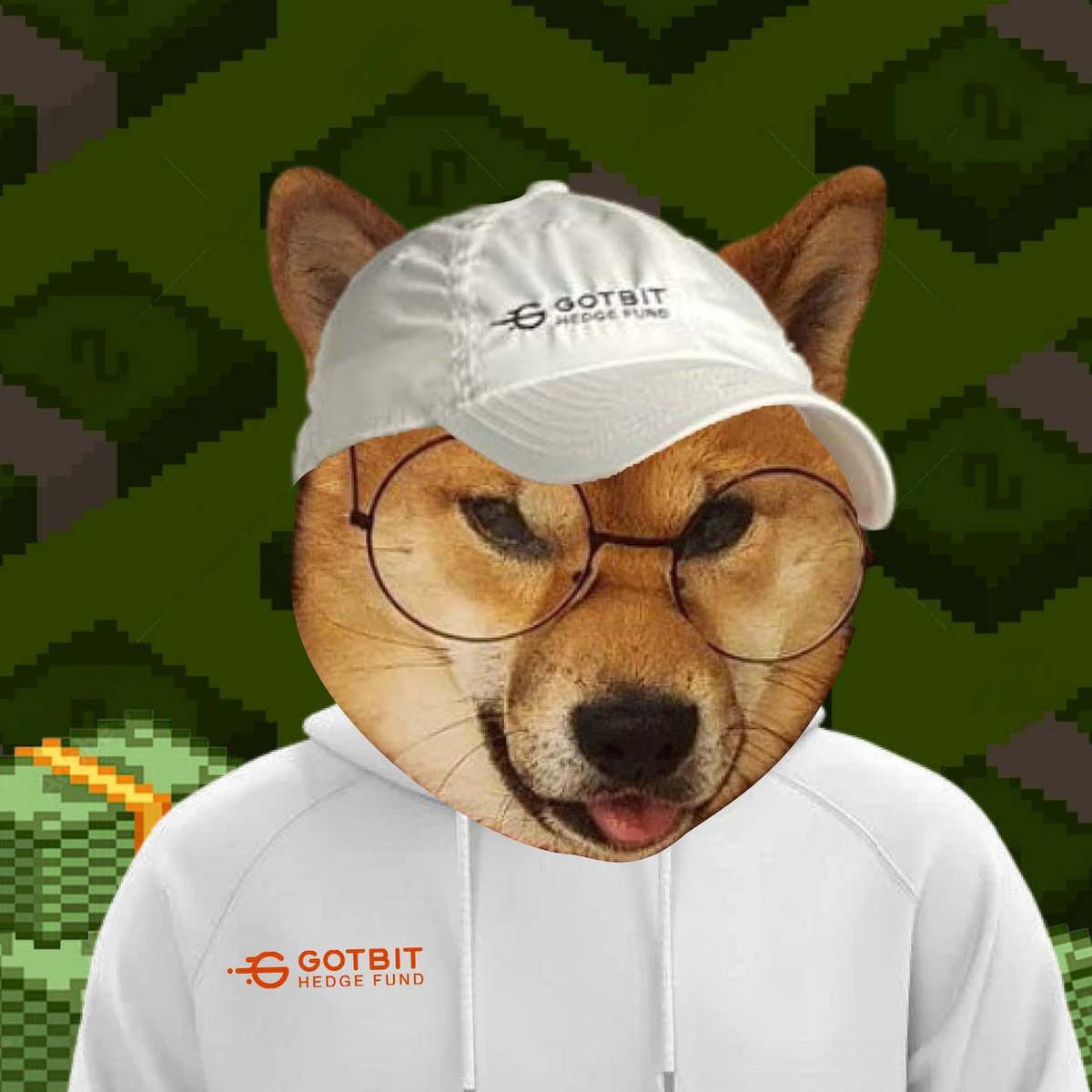 TonnnnnnyP's tweet photo. @gotbit_io $TOKU , The dev is a dog! https://t.co/769wbgs2fJ
