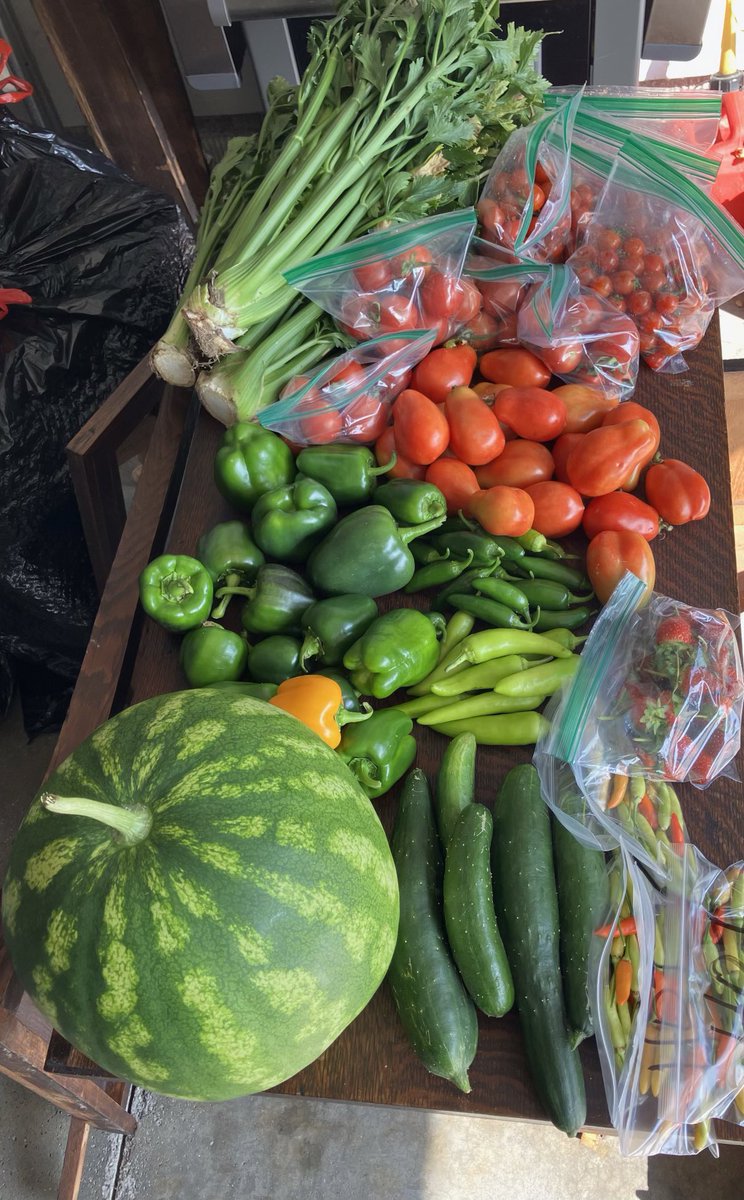 awlswa's tweet image. We helped to feed our community today with an October harvest and the volunteers at Zion in Whitehouse! We also fed some furry friends with leftovers!! @OSLN #BetterTogether #LandLab 🐰🥕🥦🥬🍅
