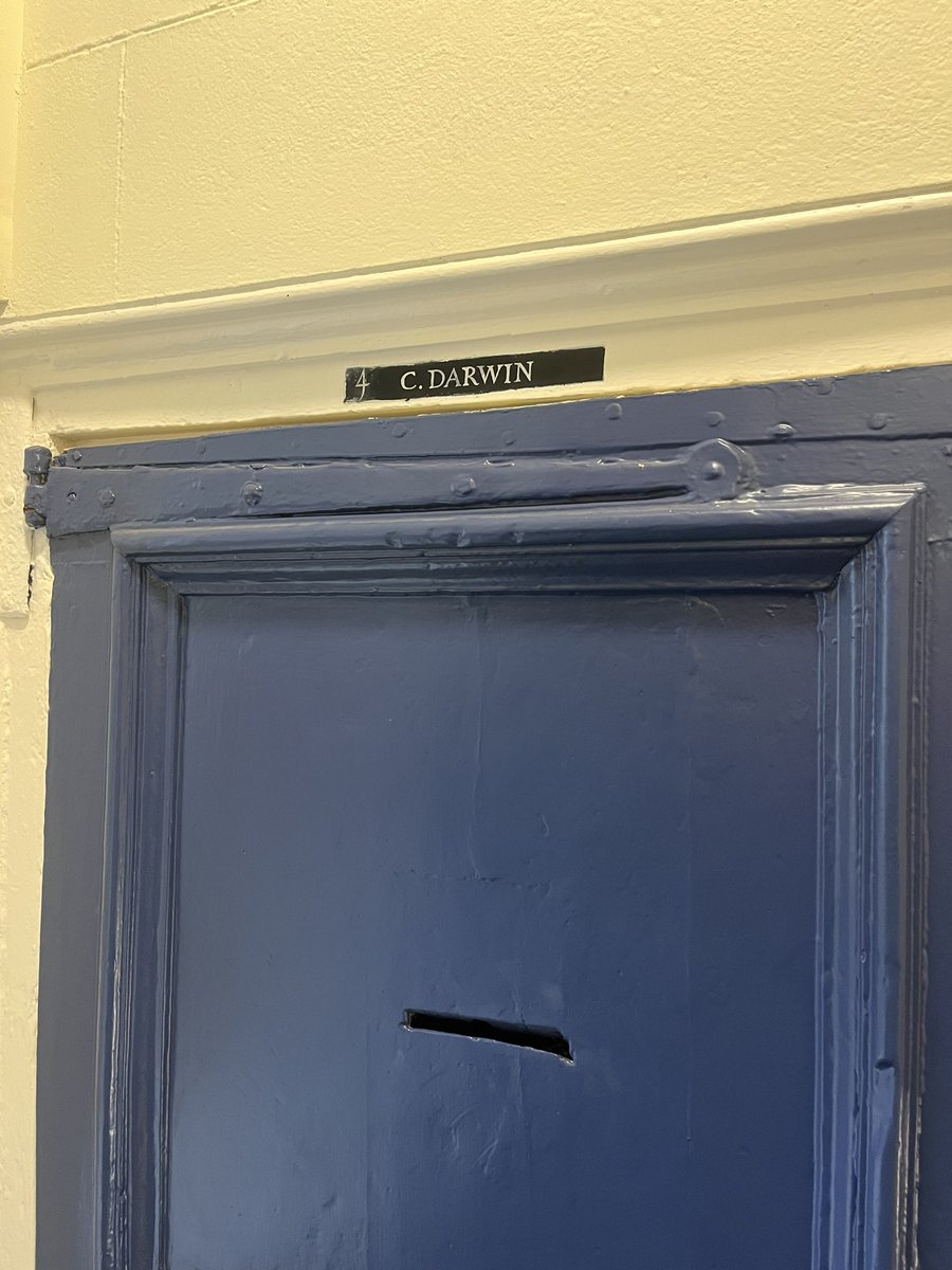 Visiting Cambridge today, I saw some stunning specimens including a parrotfish that Darwin collected and even got to see his old dorm room!