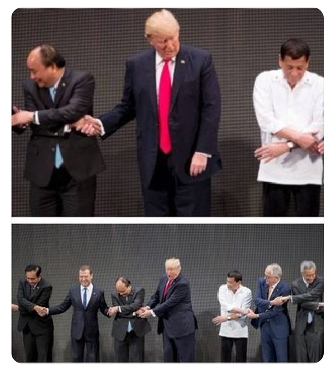 TribeOasis tweet media