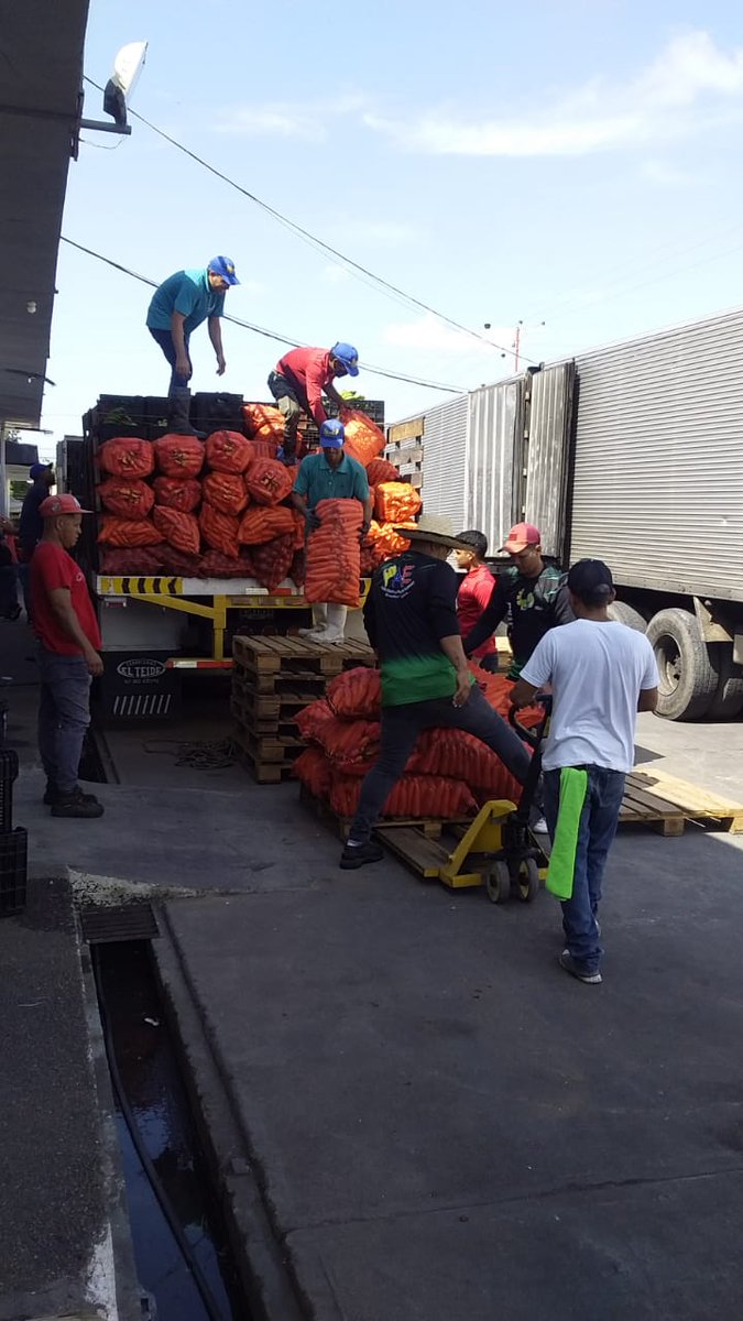 Este martes fueron recibidos 14.400 toneladas de frutas y verduras dirigido a fortalecer al Programa de Alimentación Escolar PAE, beneficiando en esta oportunidades a 87 instituciones educativas de los municipios la Trinidad y Veroes.
<a href="/cnaeoficial/">cnaeoficial</a> <a href="/pedrodiazg59/">Pedro Diaz</a>
