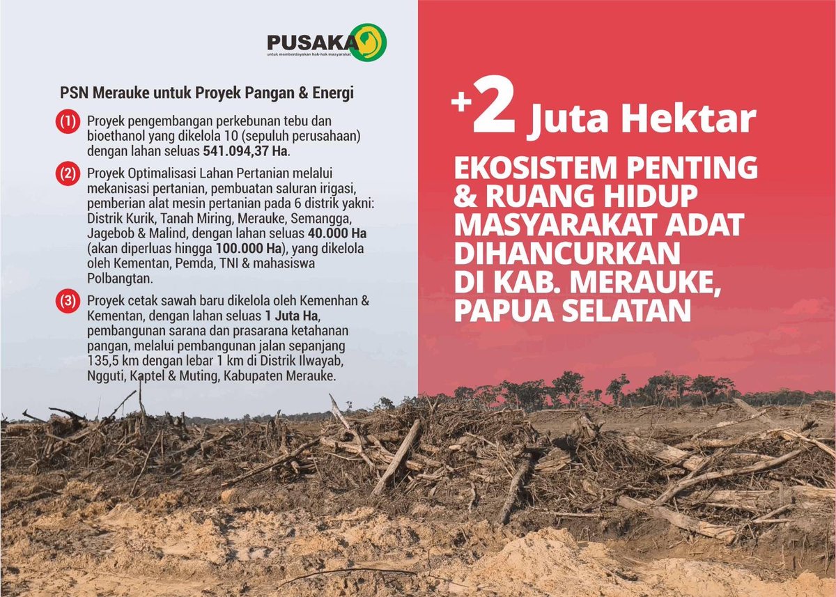 BentalaRakyat's tweet photo. Proyek PSN Merauke merampas hak masyarakat adat, hak hidup, hak atas tanah, hak mengelola sumber daya alam, hak atas pembangunan, hak atas pangan dan gizi. Penggundulan hutan, pengrusakan rawa dan lahan gambut, akan meningkatkan krisis ekologi. https://t.co/oiC7BrEXex