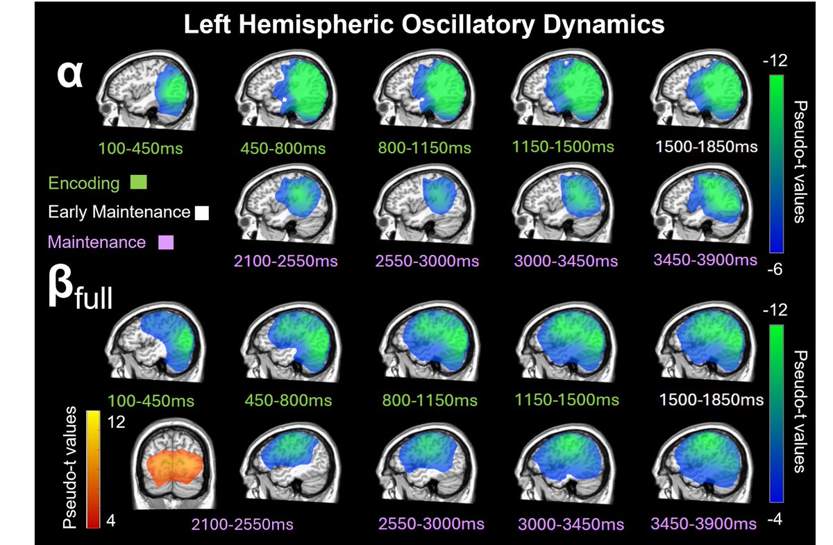 We saw that, over time, this activity moved from the occipital towards the left parietal, and this was a decrease from baseline (with a brief increase in occipital beta activity) 5/