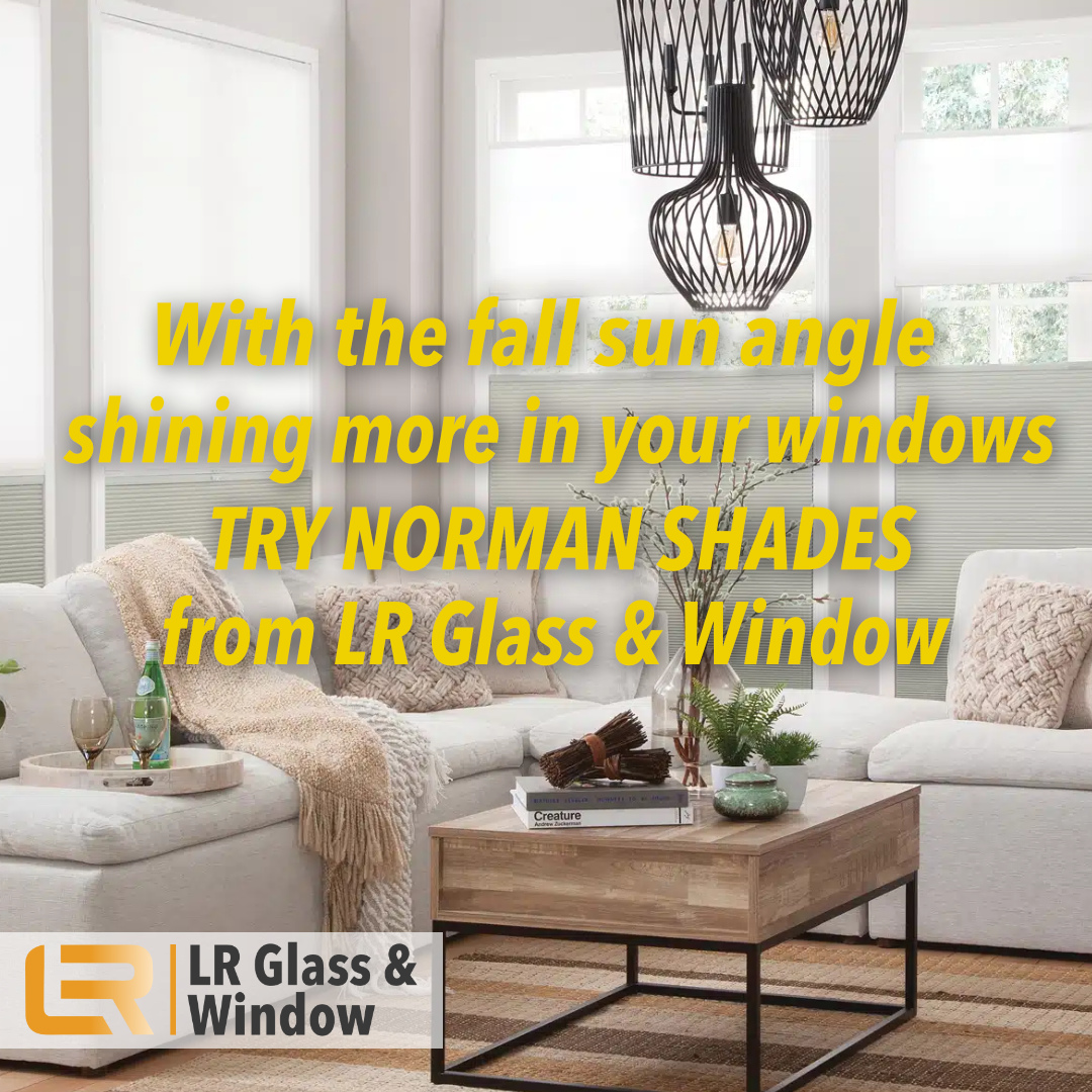 lrglasswindow tweet picture