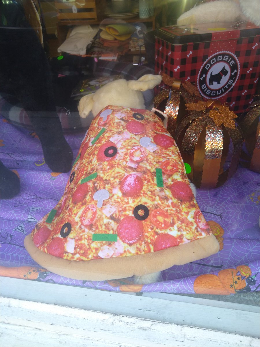 C_DevonPierce's tweet photo. @adrianachechik Pizza cape for puppiez. . . https://t.co/cr3h9qbpCu