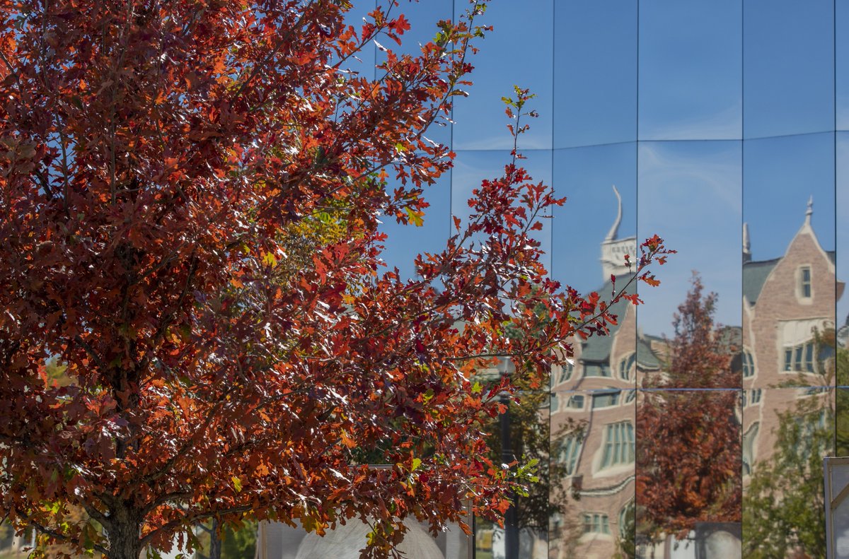 kemperartmuseum's tweet image. Hello, October. 🍂

#KemperArtMuseum #WashU #SamFoxSchool