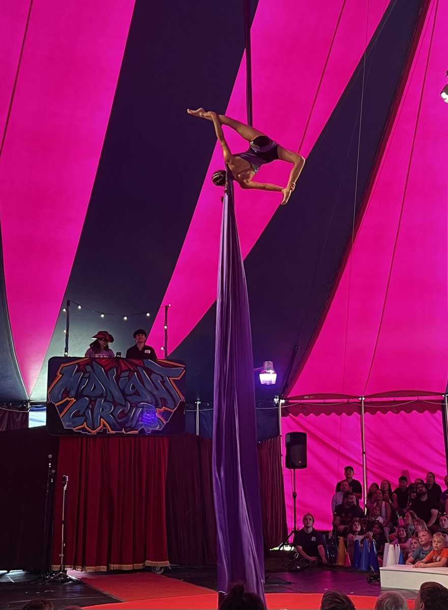 Senator Sara Feigenholtz tweet media