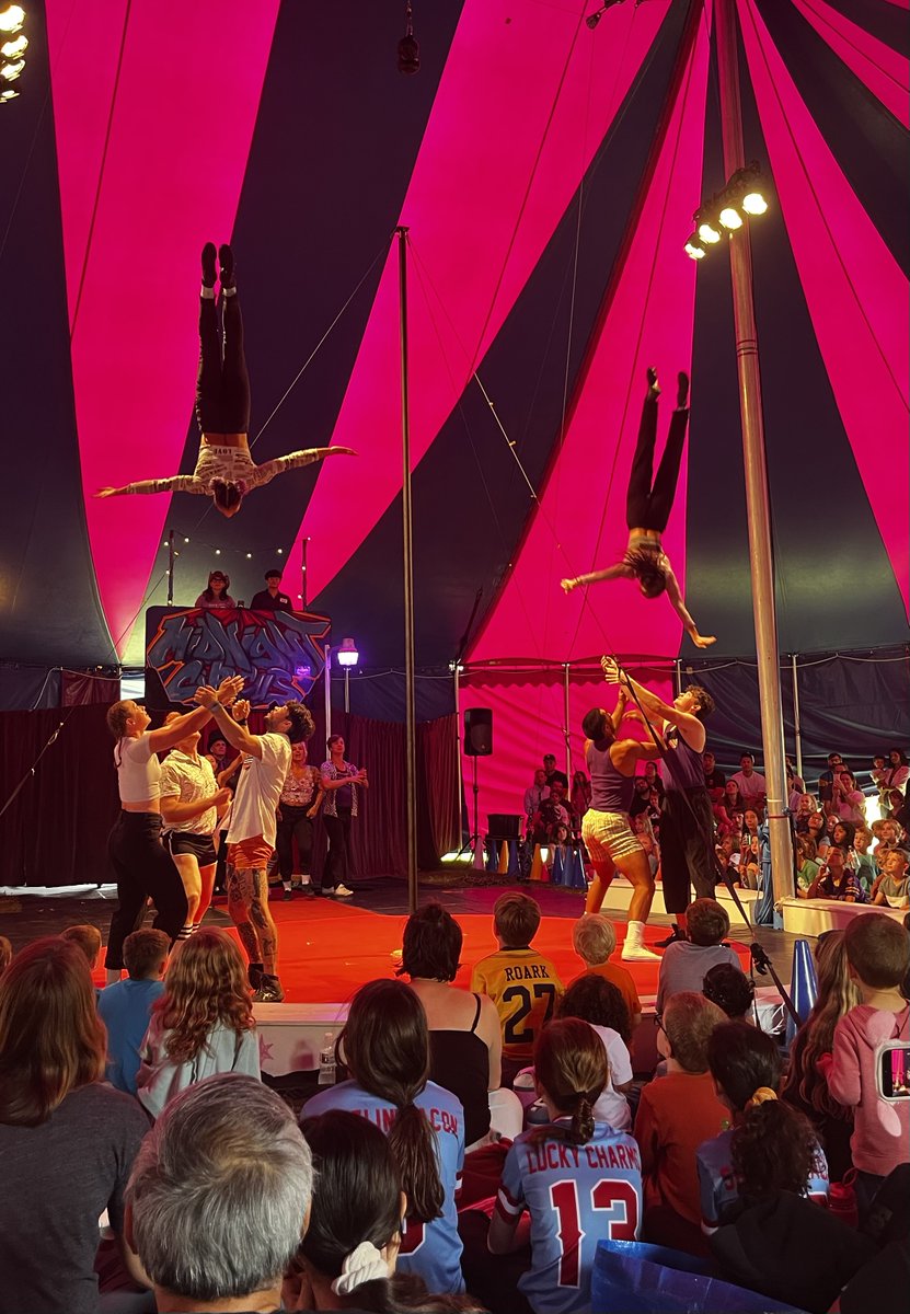 Senator Sara Feigenholtz tweet media