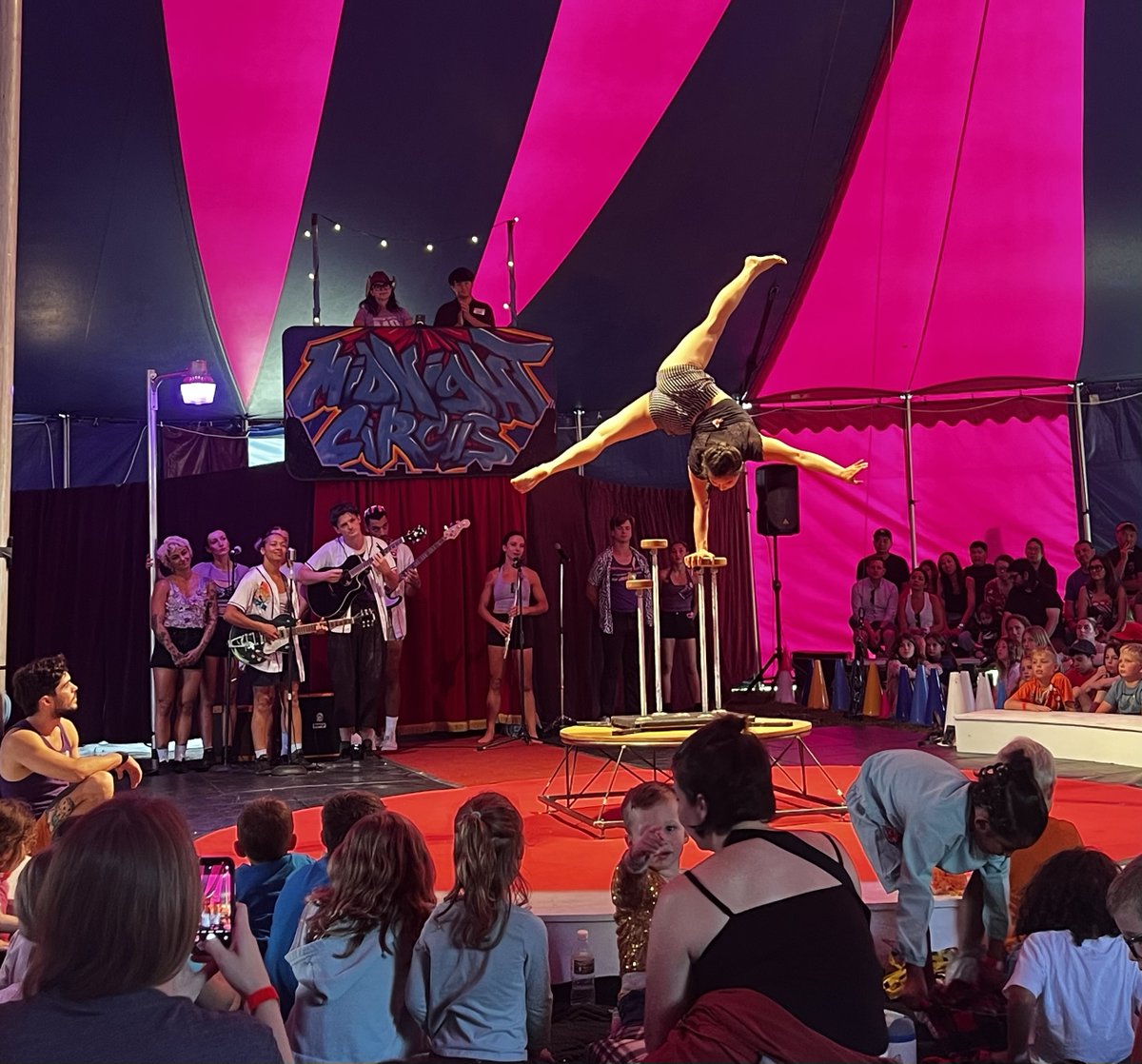 Senator Sara Feigenholtz tweet media