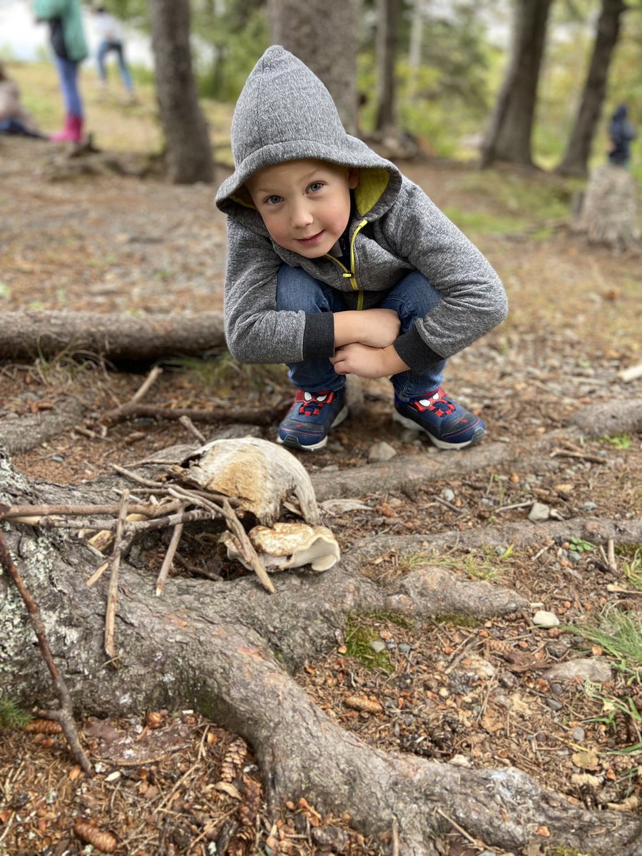 HMMSchool's tweet photo. Students at HM MacDonald, designing homes for Chippy our school squirrel. Not all classrooms have 4 walls. @asforan @PEmommaVik @SRCE_NS https://t.co/juDKfNMCCq