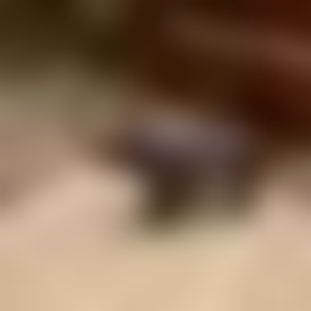 . (@rainb4sun) / Posts / X