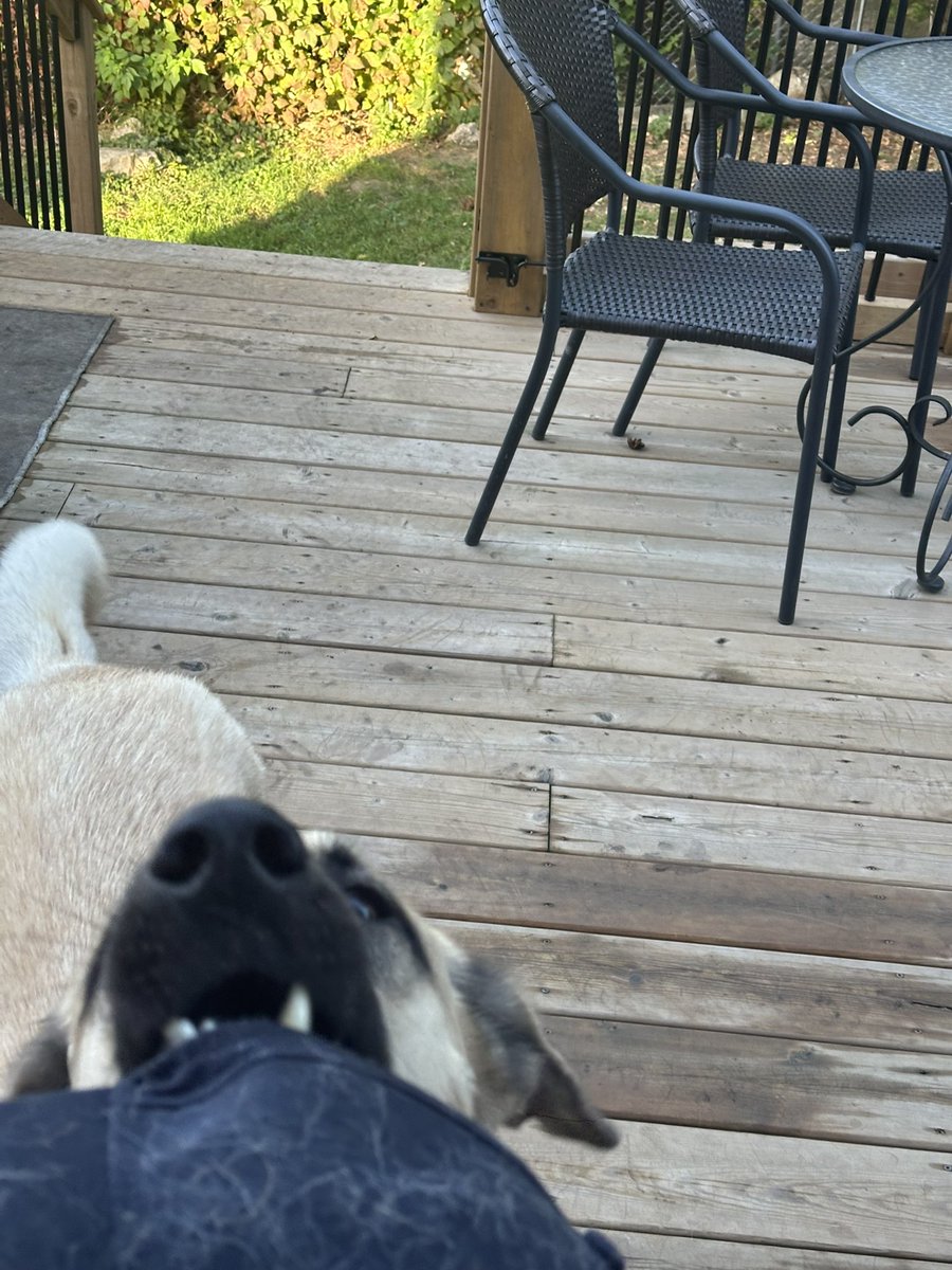 RyanHanaWWP's tweet image. THE TULLY RALLY HAT STAYS DIRTY