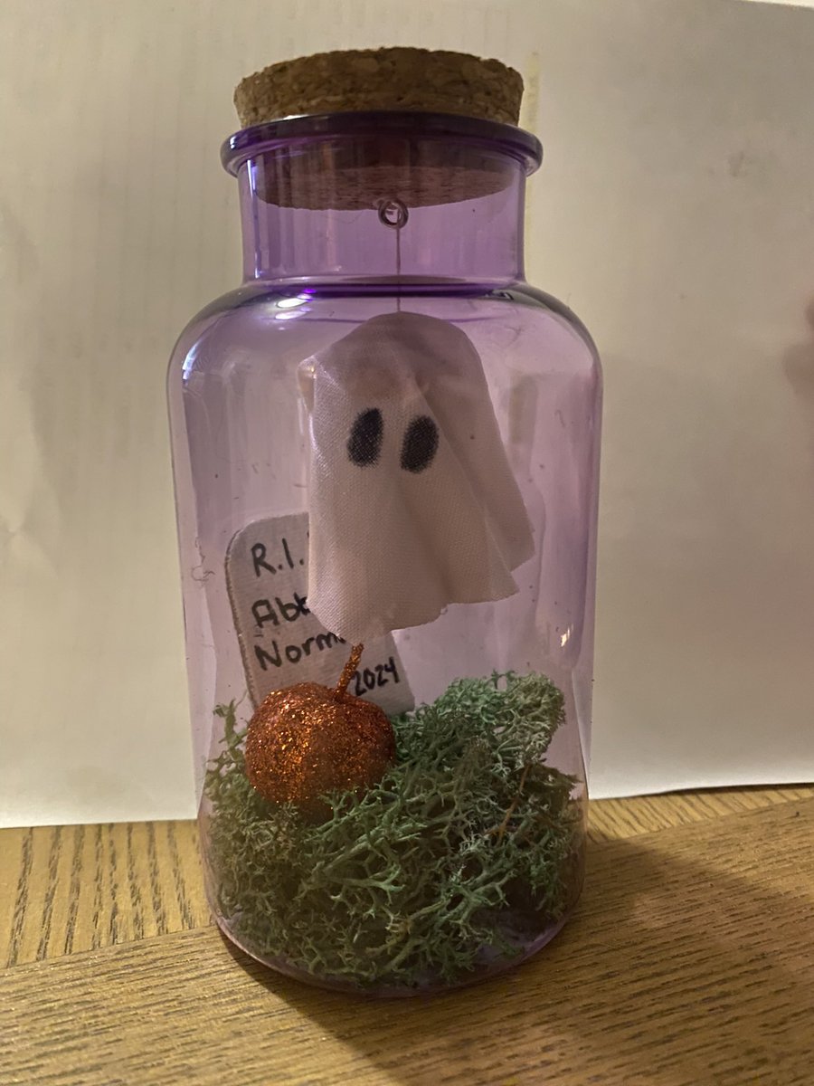 CrimeandtellMae's tweet photo. I made these adorable #petghosts with my @girlscoutswny Cadette troop! It was so east and #dollarstoreDIY efficient! I $20ish for 7 girls to do it. Win! RIP Casper, ABBIE NORMAL and Willy Monroe. Highly entertaining imaginations with these. #girlscouts @girlscouts https://t.co/TRr5TpYzhu