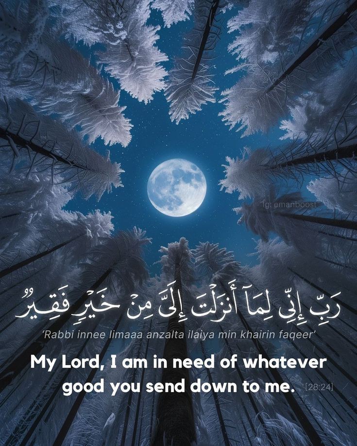 Al_Quran_011's tweet photo. reposts, it will help you🤍🕊️ https://t.co/3AZP2RHiHG