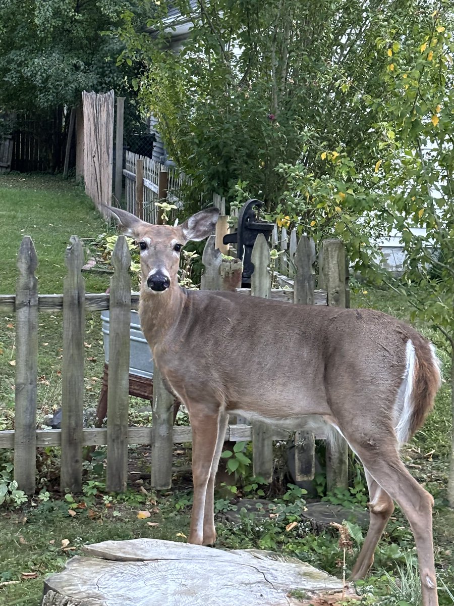 Ashley (@ashley653724718) on Twitter photo 