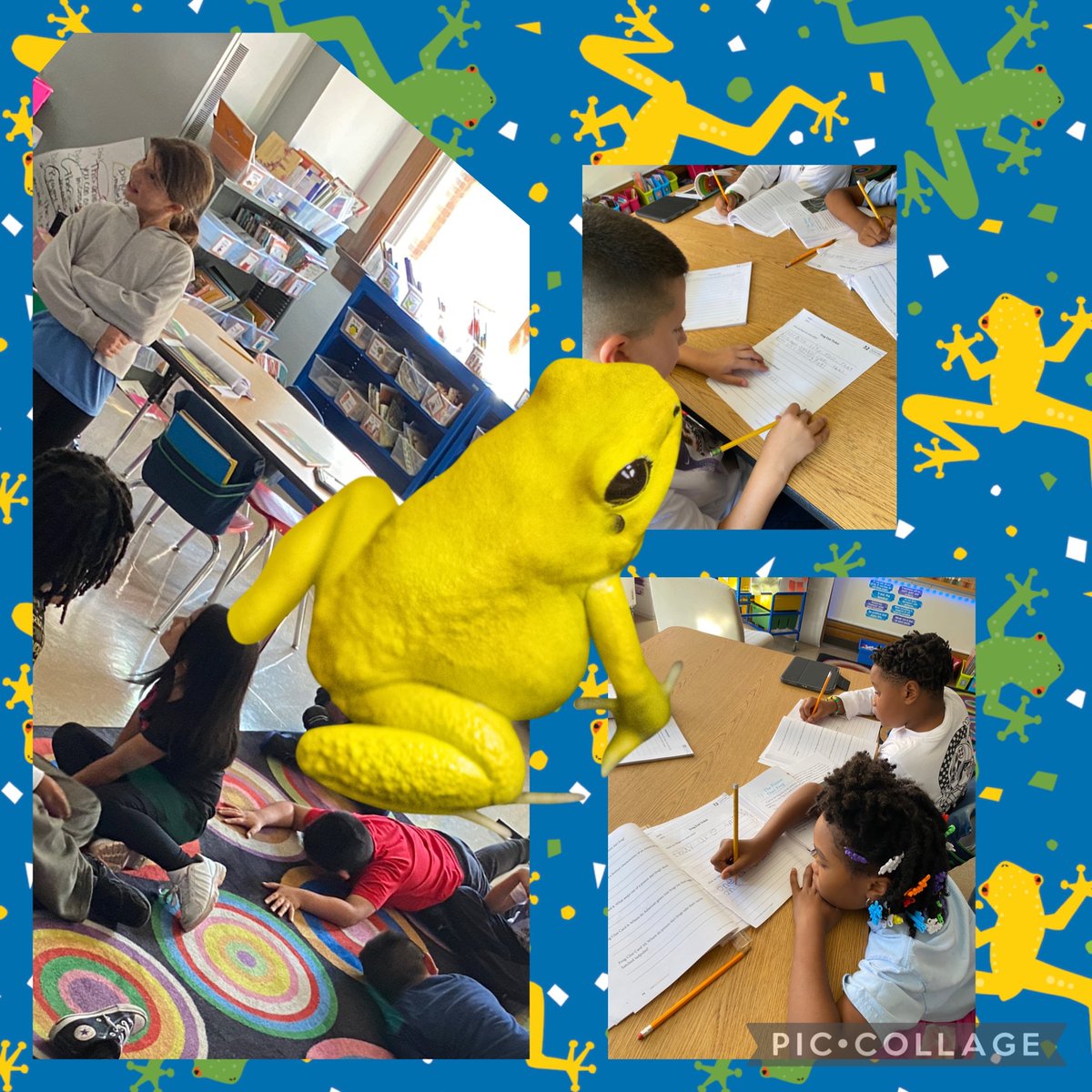 Mrs. J (@mrsjyotishi) on Twitter photo Check out the research scientists in 3AG! They compared and contrasted different frogs then played “Identify the poison dart frog!” Thank you for explaining how some frogs secrete poison ☠️
#hiawathapride #d100inspires <a href="/JodiMeyer21/">Jodi Meyer</a> Check out the research scientists in 3AG! They compared and contrasted different frogs then played “Identify the poison dart frog!” Thank you for explaining how some frogs secrete poison ☠️
#hiawathapride #d100inspires <a href="/JodiMeyer21/">Jodi Meyer</a>