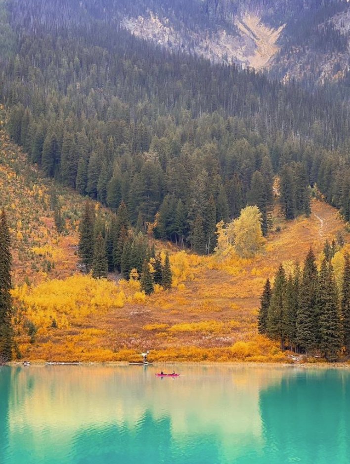 Emerald Lake Lodge tweet media