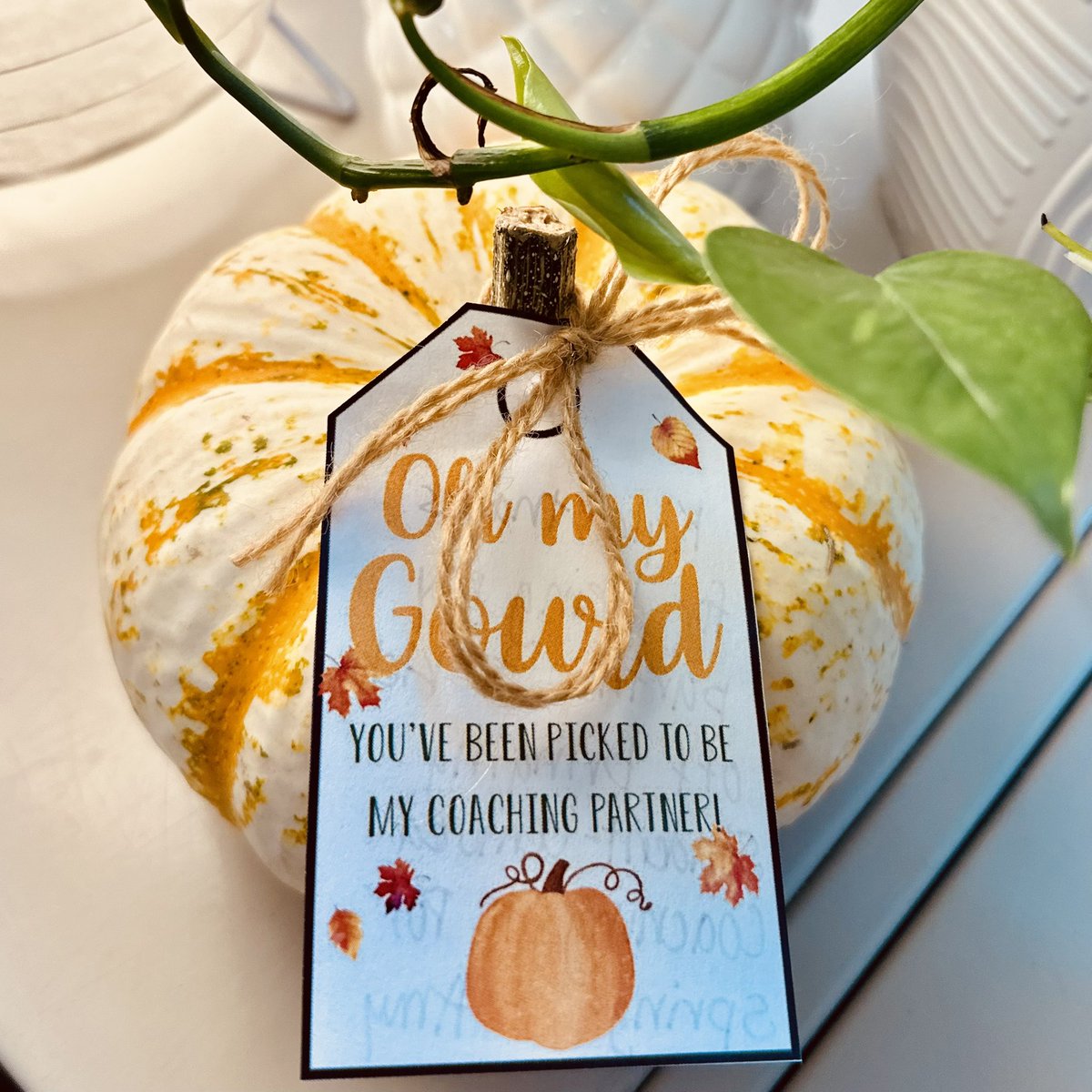 So excited to bring #StudentCenteredCoaching to <a href="/PotSpringEl/">Pot Spring</a>! Kicking off cycle 1 today in grade 4 ELA! Thank you, <a href="/misslanchak/">Kyla Lanchak</a>, for being my first partner!!! Share all your RI2 &amp; RL2 ideas our way! <a href="/leannaharris22/">Leanna Harris</a> <a href="/SweeneyDiane/">Diane Sweeney</a>