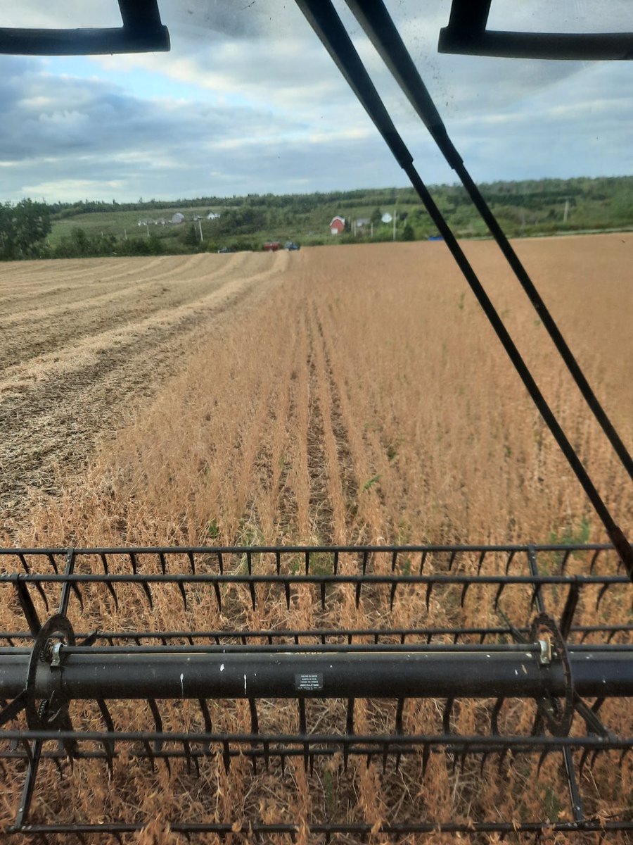 searsy84's tweet photo. Got started on beans! https://t.co/NbfJMsBQHo