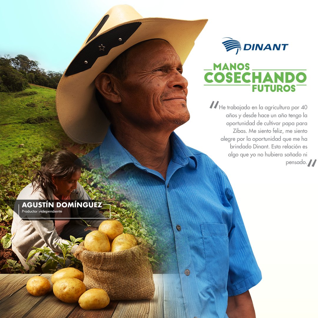 Nuestros productores independientes son los héroes que trabajan la tierra y, junto a nosotros, transforman necesidades en oportunidades. 🌿Agustín, con 40 años de experiencia ahora cultiva papa para Zibas, agradeciendo a Dinant por una oportunidad que nunca imaginó.