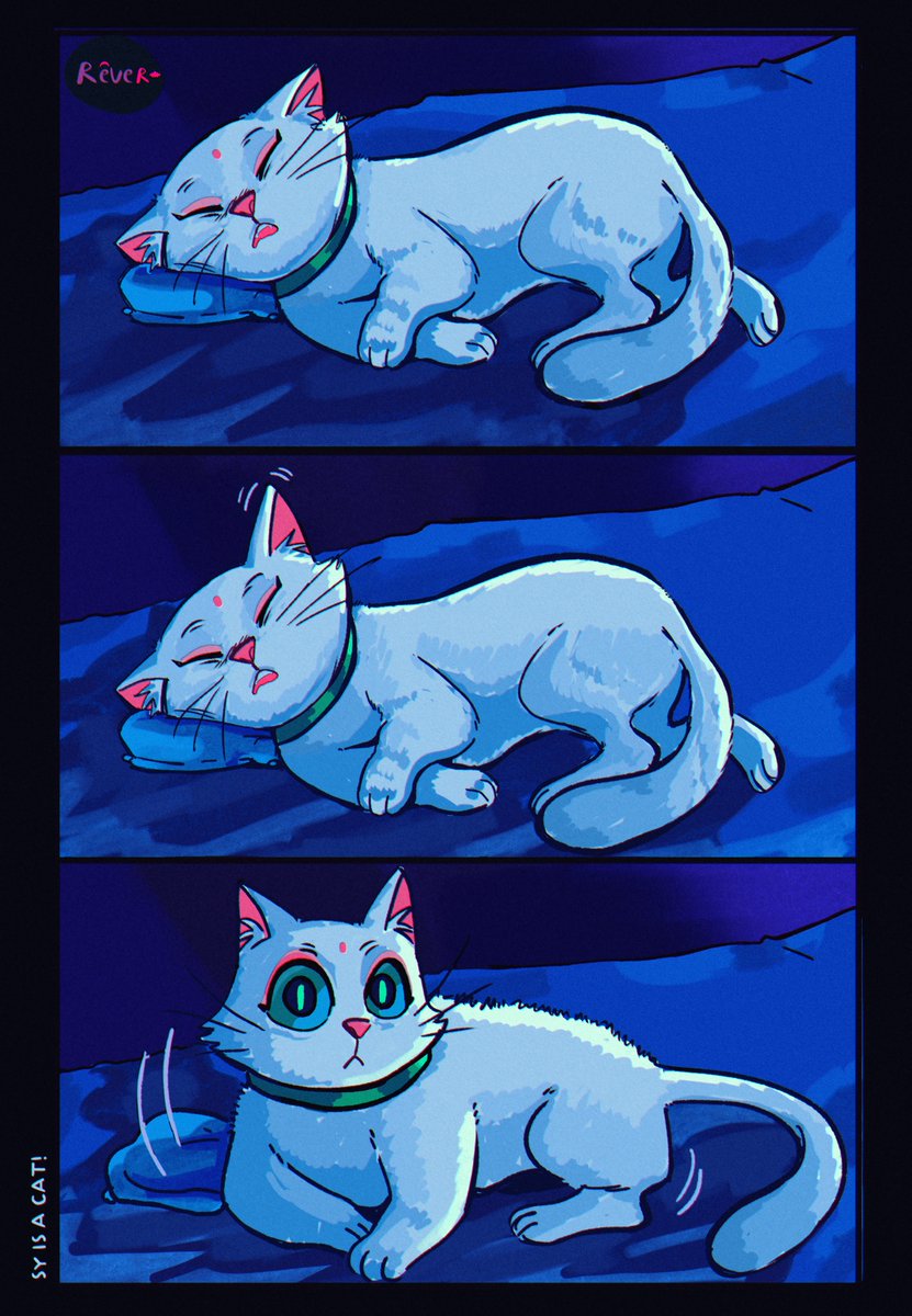 reve_r_'s tweet photo. Shen Nyan cat to the rescue! part 1 #svsss https://t.co/30CyqdkmJC