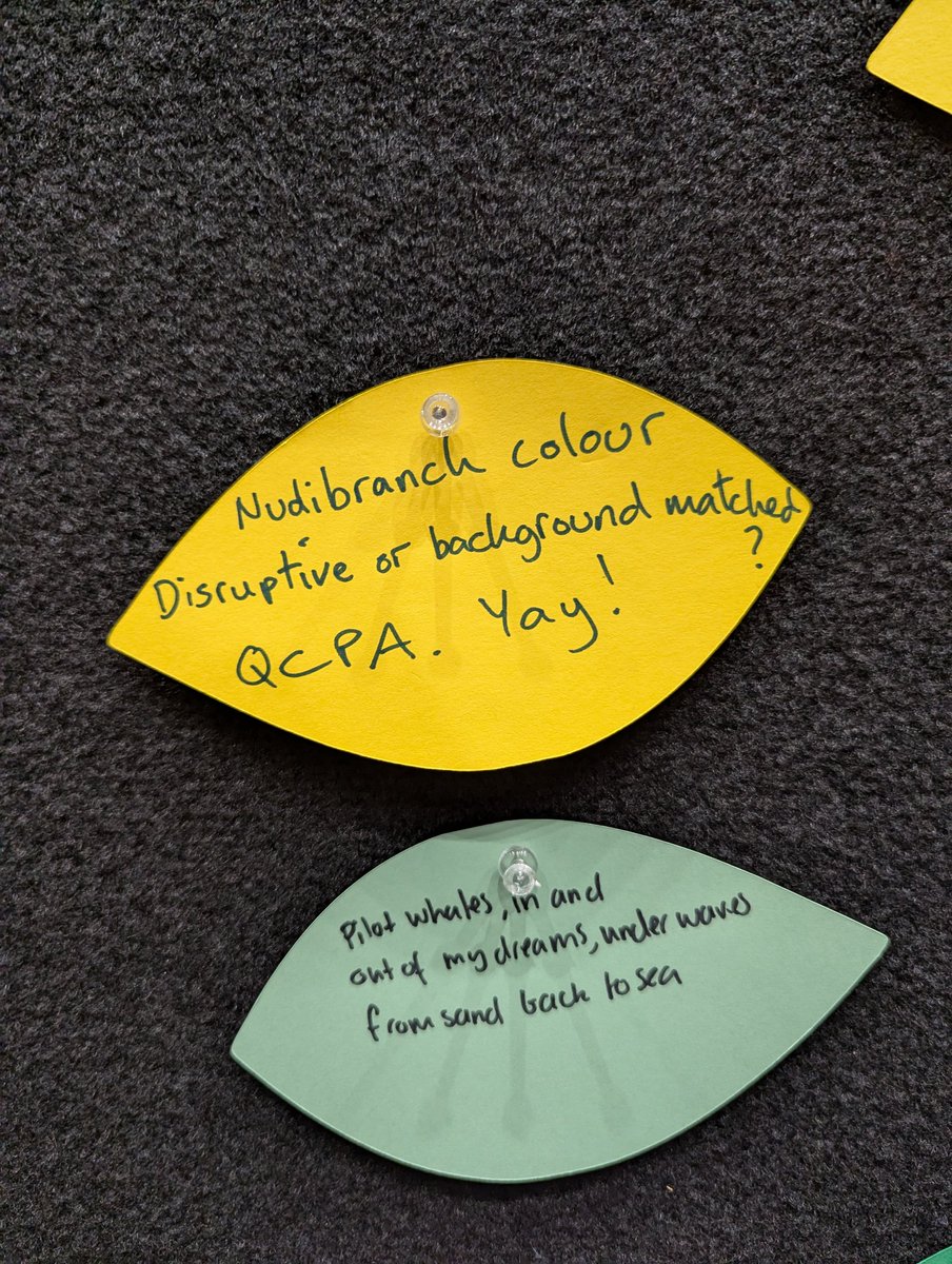 It's been a fantastic <a href="/MicaToolbox/">micaToolbox</a> workshop and first few days of the conference! Not without impact by the looks: Spotted at the Haiku board at #ISBE2024 😂