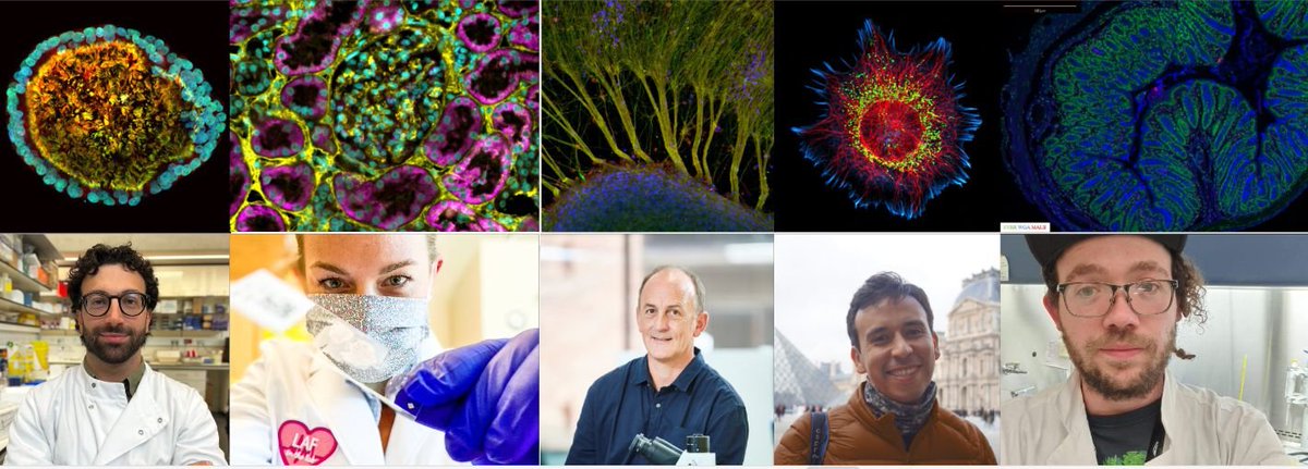 Fluorist's tweet photo. Congratulations to the winners of the 2024 Thermo Fisher Scientific Microscopy Contest! 🌟 

✨ See their work and winning images: https://t.co/HF4iwZ3Qpw https://t.co/wnXGwTiMAo