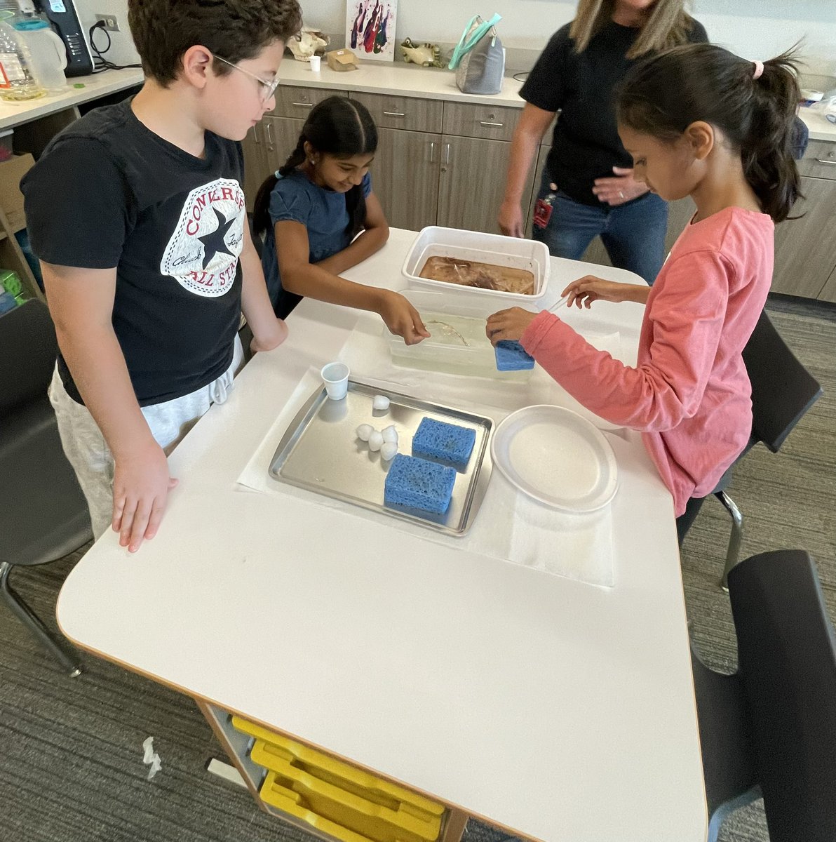 Thanks <a href="/OhMySTEM/">Erika Malcom, M.Ed.</a> for the engaging oil spill lesson for 4th grade!