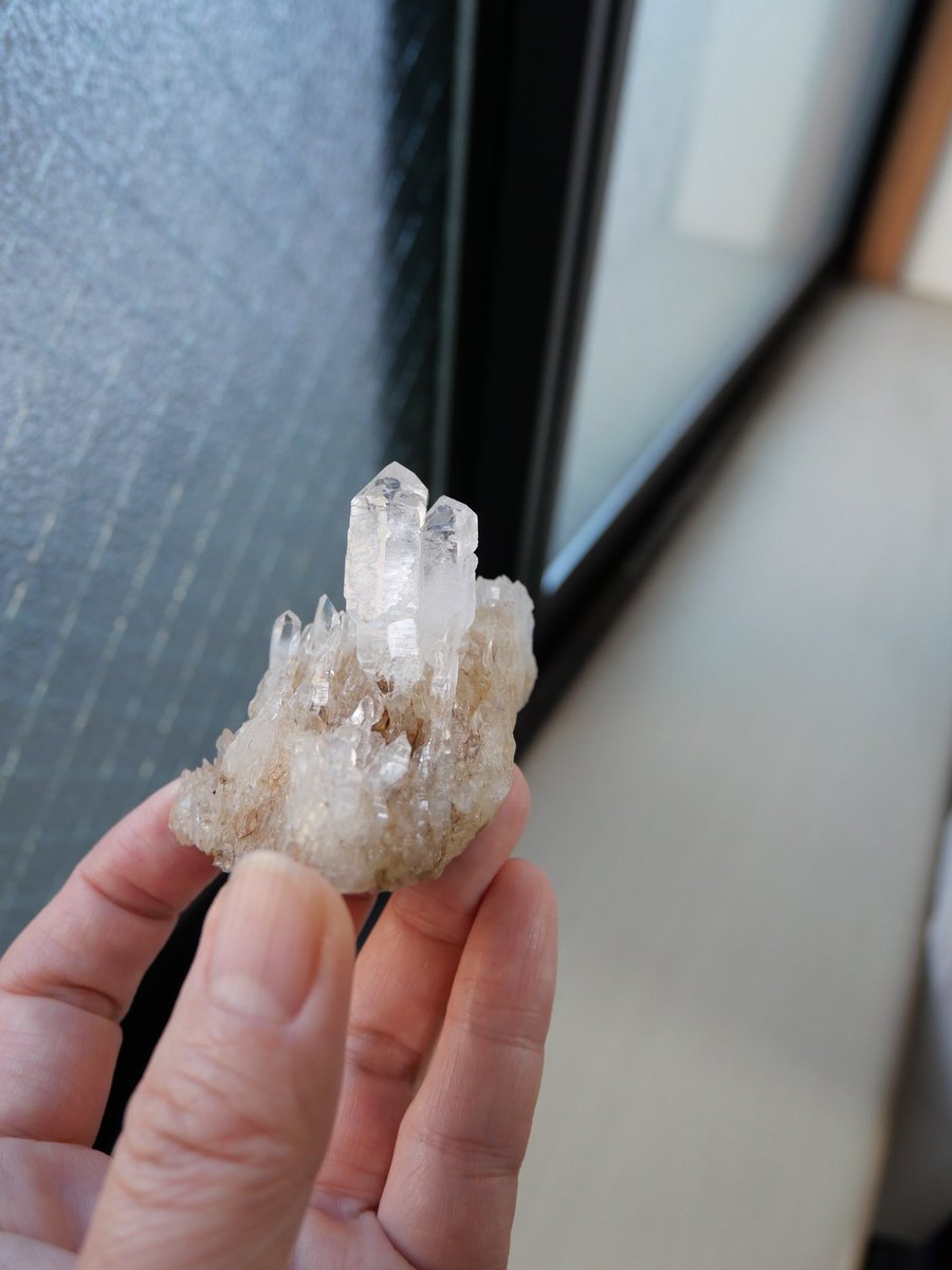 ふみち tweet media