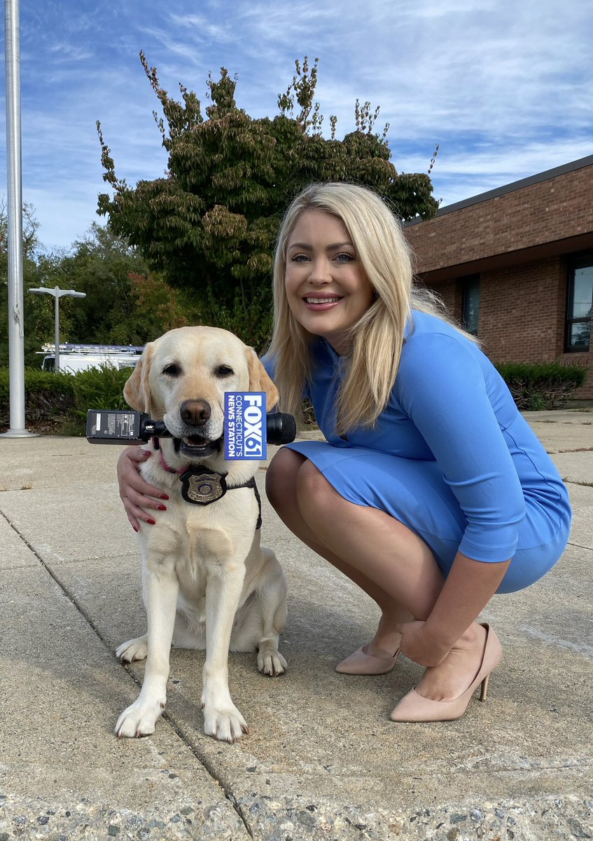 bridgettbjorlo's tweet image. Got some help in the field from K-9 Chase and K-9 Murphy!

Tune in to #Fox61 for the story of a new state bill designed to protect and honor #police dogs.