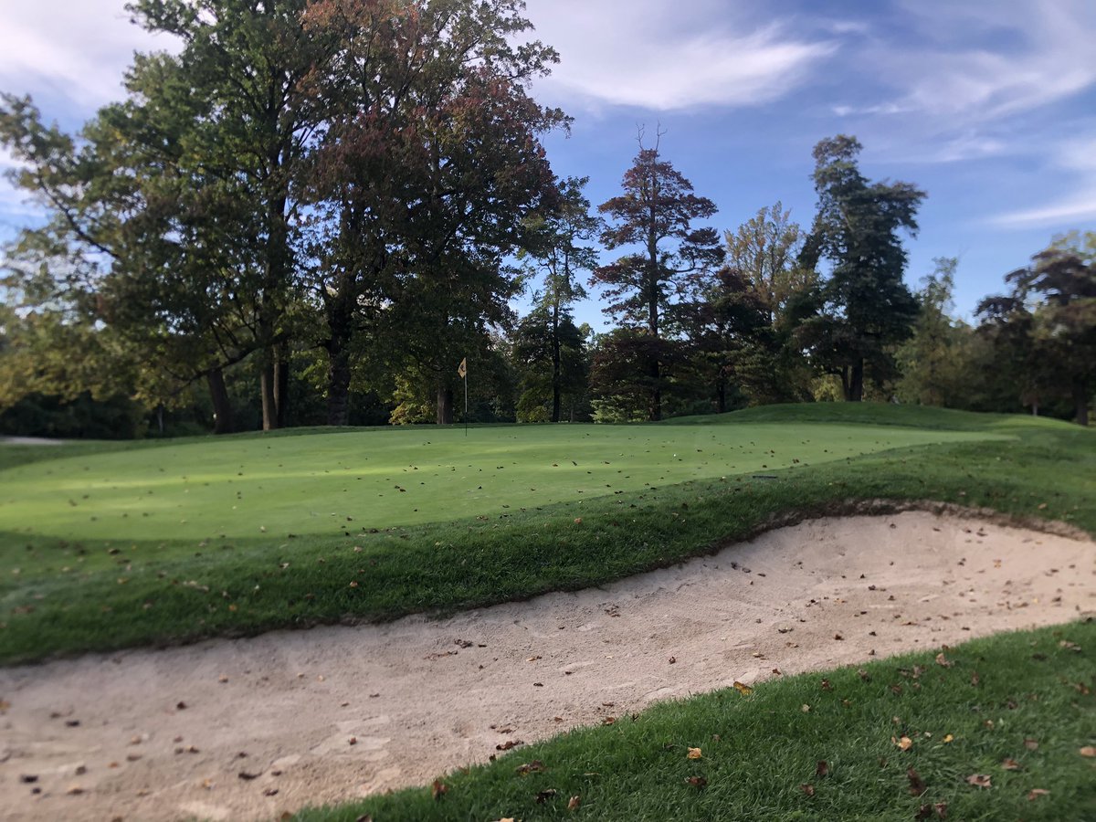 New York Golfer tweet media
