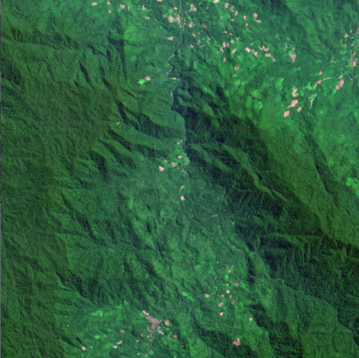 Proud to be an early collaborator in <a href="/planet/">Planet</a>'s new initiative, Project Centinela! 🛰️🌏

With high-res, high-cadence satellite imagery and analytics, we can accelerate our conservation efforts in Gunung Naning Protection Forest, Indonesia 👏