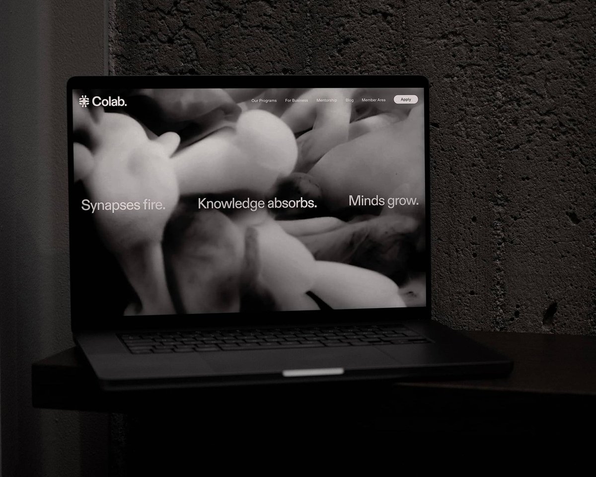 DsgnAssemblyNZ's tweet photo. An intriguing new brand identity by Studio South has got our synapses firing: https://t.co/04qIycBg0I 

#Colab #greymatter #microcommunities #knowledgesharing #microlearning #studiosouth #designassembly #freshfromthefield #NZdesign #brandidentity #designnz https://t.co/6natzMi2HQ