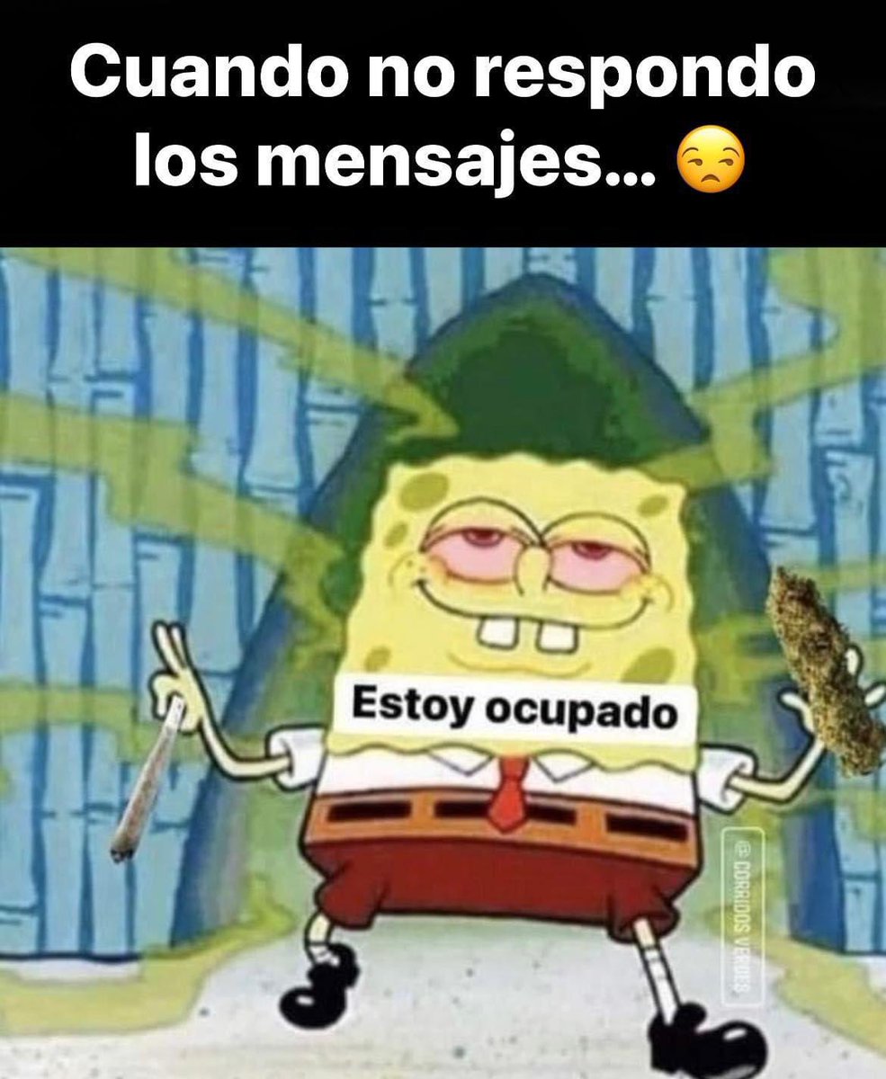 😅😅😅😅 perdónenme