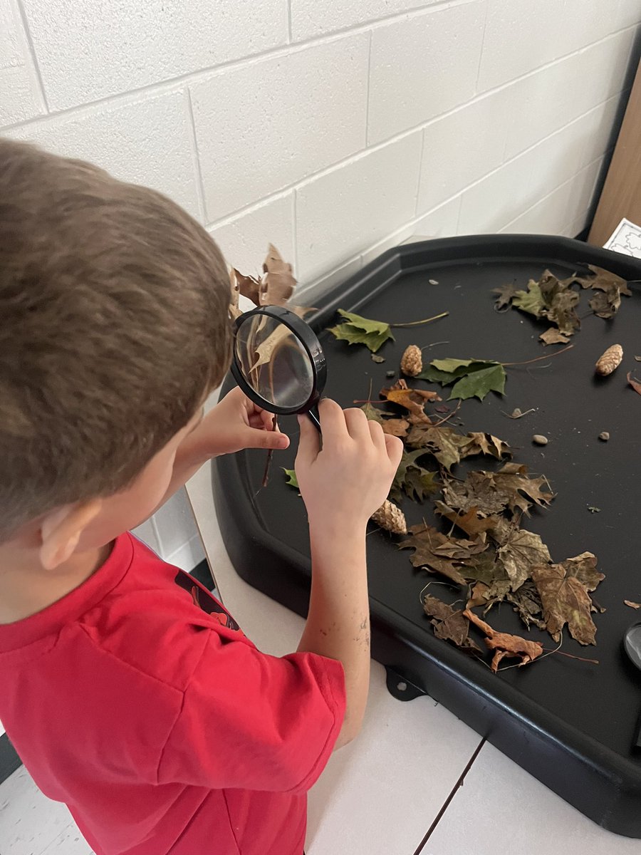 Fun leaf hunt in JS4 today!🍁 🍂 <a href="/StLukeEllacott/">Mrs. Ellacott</a> <a href="/LillySamuel7/">Lilly Samuel</a>