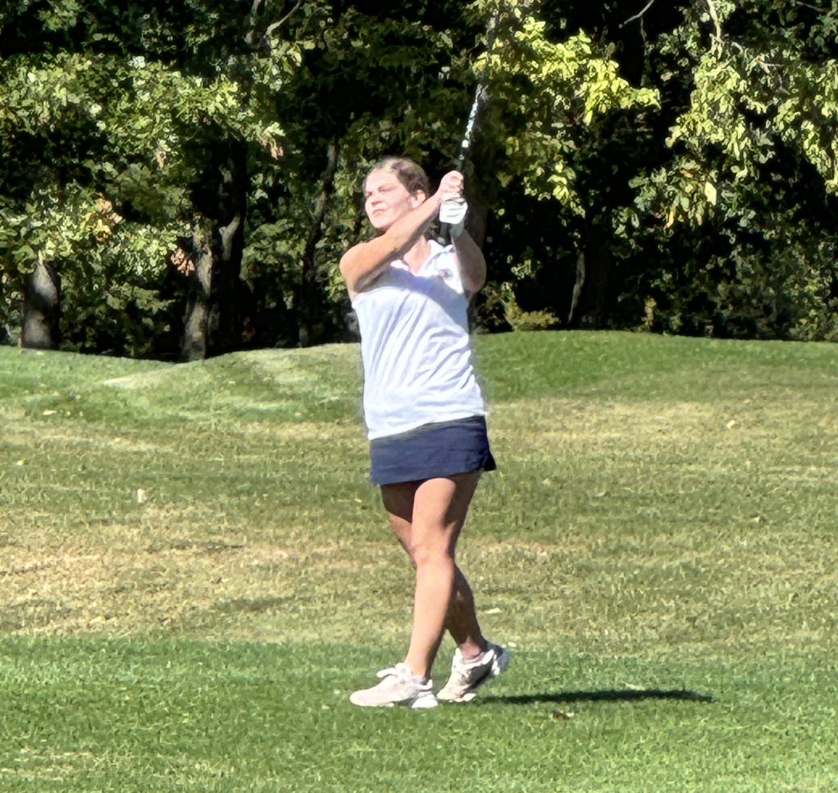 Hamilton Class A Regional