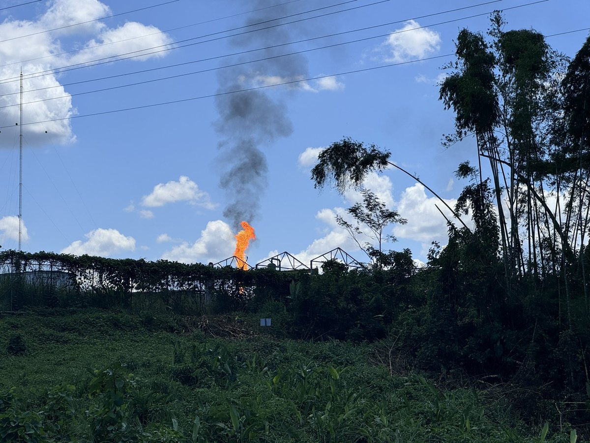 Les comparto algunas maravillas y horrores que pude observar hoy en el oriente petrolero ecuatoriano…

1. Los mecheros: Pese a su prohibición en 2021, tenemos 486 de estos, que emiten metano, 84x peor que el CO2 para el cambio climático.