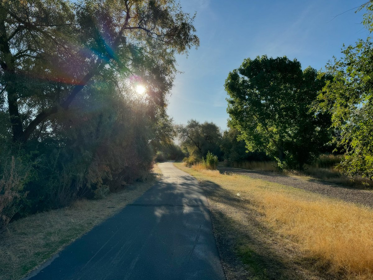 Took a stroll in nature this morning, I highly recommend the practice of walking for whenever reality seems overwhelming.