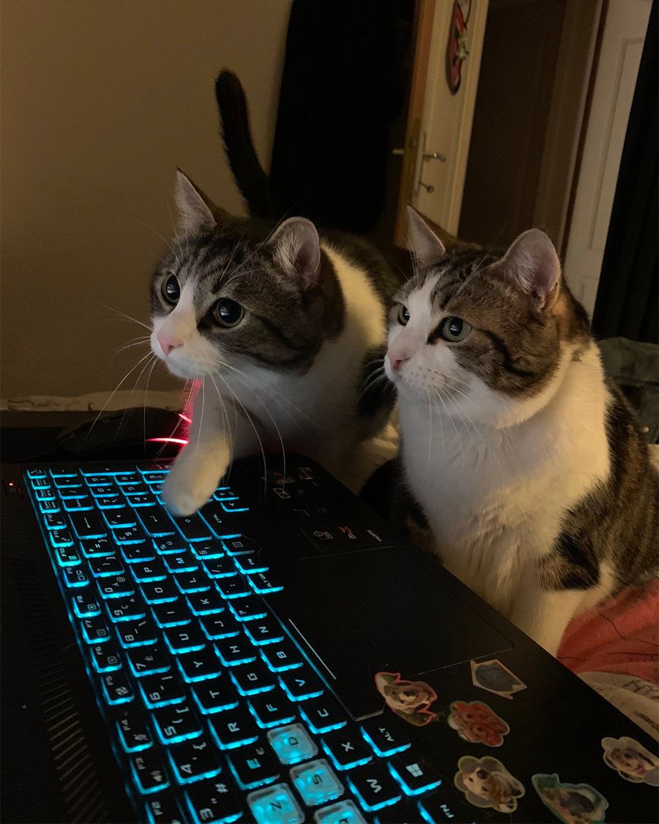 “so this is called the question ping, you can pretty much spam this all the time whenever you want.”