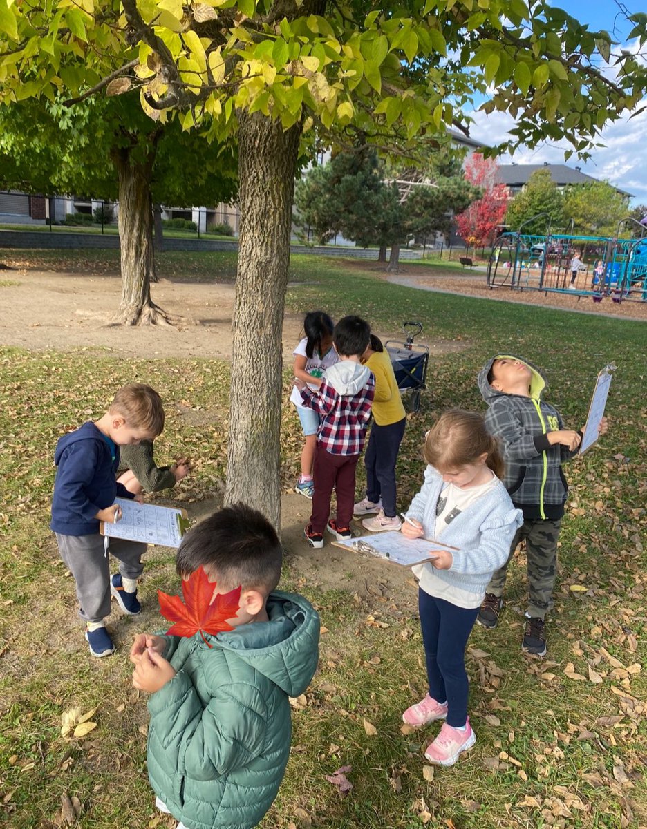 Mrs. Ellacott (@stlukeellacott) on Twitter photo Looking for birds, leaves, ants and more!!! ππ¦ββ¬πΏοΈπ³π
#nature #scavengerhunt #outdoorlearning
<a href="/MsHollidayOCSB/">Ms. Holliday</a>
<a href="/StLukeNepean/">St. Luke School (Nepean)</a> Looking for birds, leaves, ants and more!!! ππ¦ββ¬πΏοΈπ³π
#nature #scavengerhunt #outdoorlearning
<a href="/MsHollidayOCSB/">Ms. Holliday</a>
<a href="/StLukeNepean/">St. Luke School (Nepean)</a>
