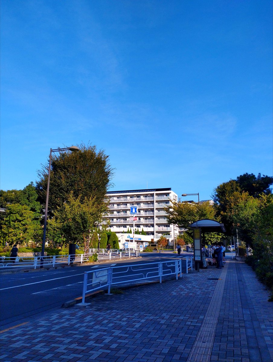 turnner2001's tweet image. 一応、遠く千葉沖を通った台風17号の影響か、いい天気！！
今朝は朝ランではなくゆったり朝散歩
散歩もいいよなぁ〜

#朝散歩 #3PO #イマソラ #西東京市