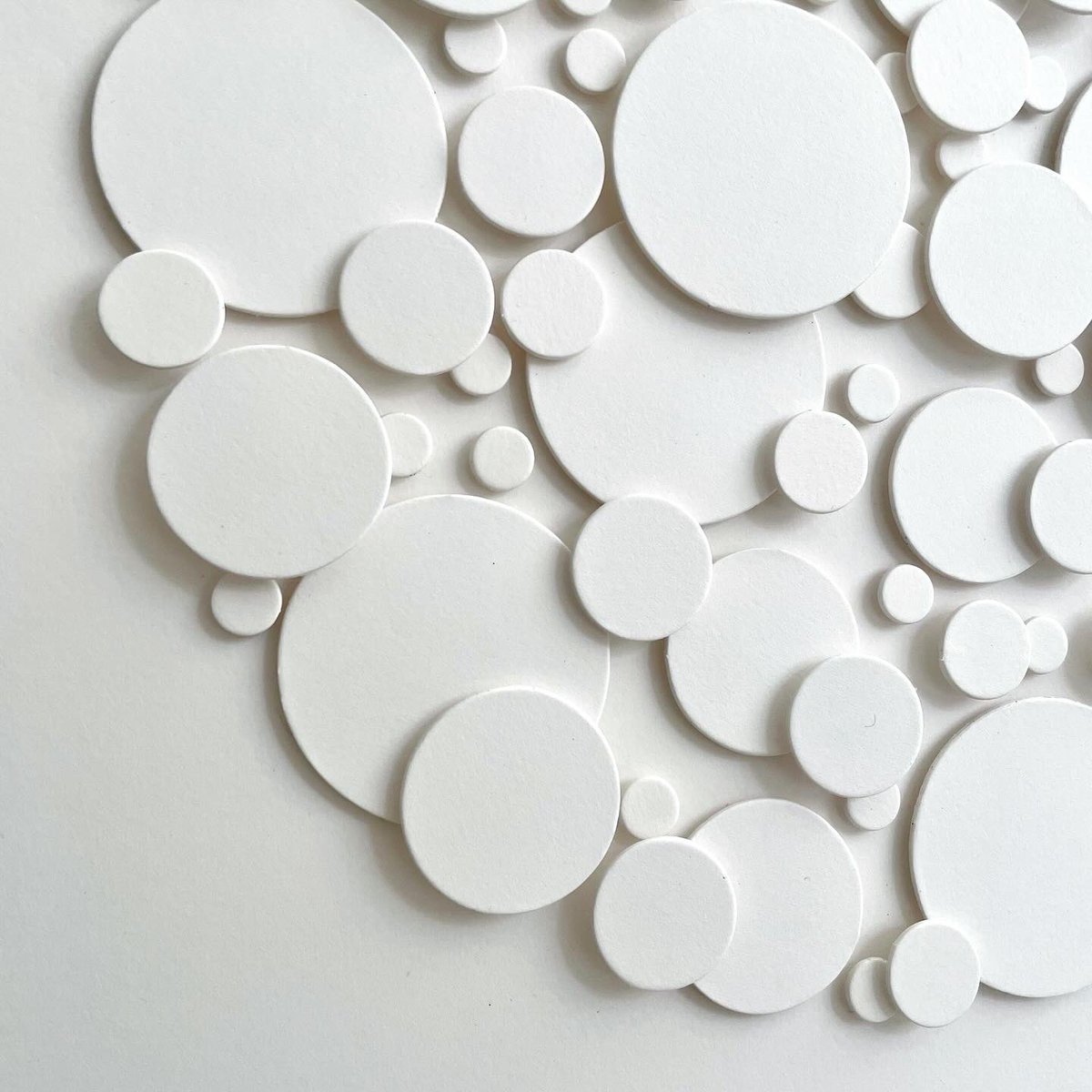 Cissy Cook tweet media