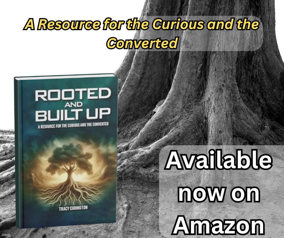 TMCCoaching's tweet photo. #180turnarounds #rootedandbuiltup #newchristian #discovery #book
https://t.co/ZYkJzFoloo https://t.co/Yow1Jsuc1x