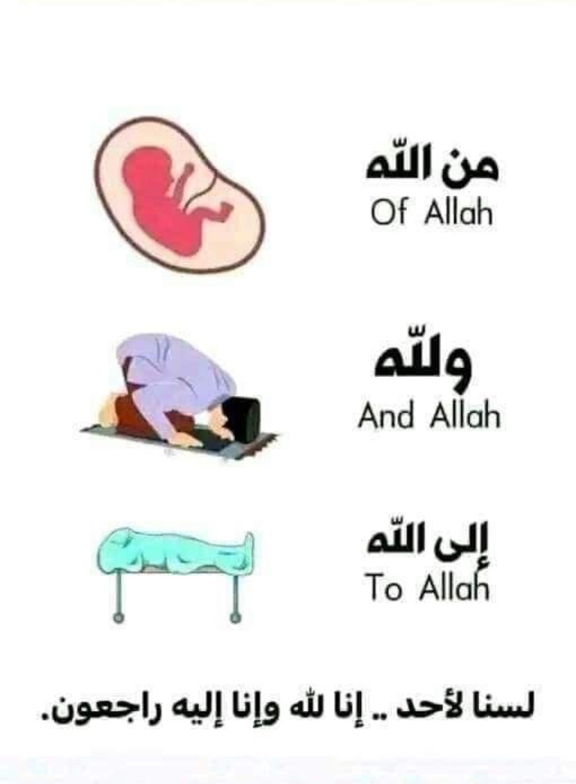 جوجو tweet media