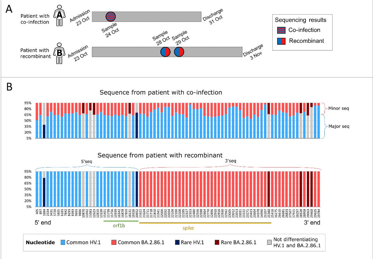 Eric Topol (@erictopol) on Twitter photo How #SARSCoV2 sequencing showed a person infected with 2 different variants directly transmitted a novel recombinant (hybrid) to another person
thelancet.com/journals/lanmi… <a href="/LancetMicrobe/">The Lancet Microbe</a>
first time such an event—origin of a recombinant variant— has been documented How #SARSCoV2 sequencing showed a person infected with 2 different variants directly transmitted a novel recombinant (hybrid) to another person
thelancet.com/journals/lanmi… <a href="/LancetMicrobe/">The Lancet Microbe</a>
first time such an event—origin of a recombinant variant— has been documented